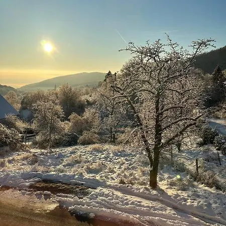 Belle Vue Dom wakacyjny *